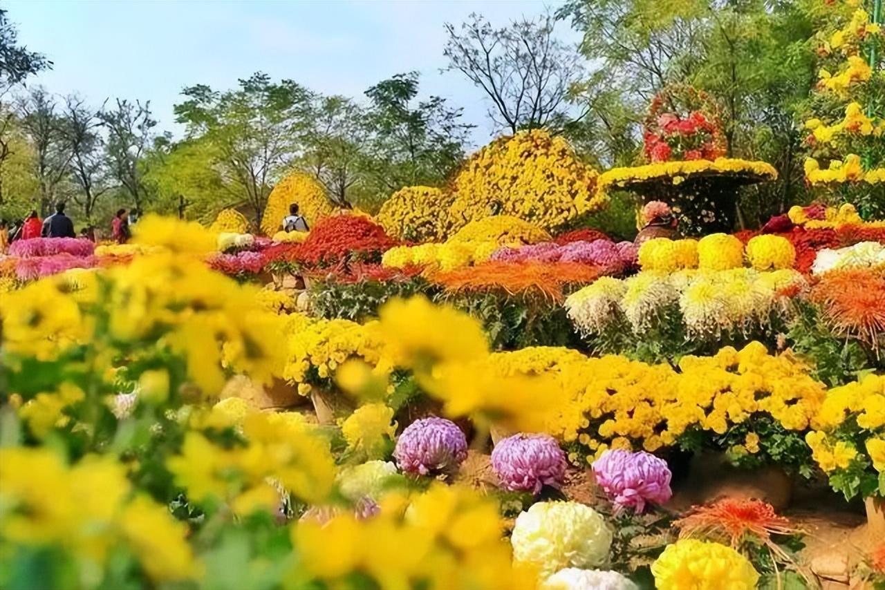 十月探索未知美景，最佳旅游地推荐