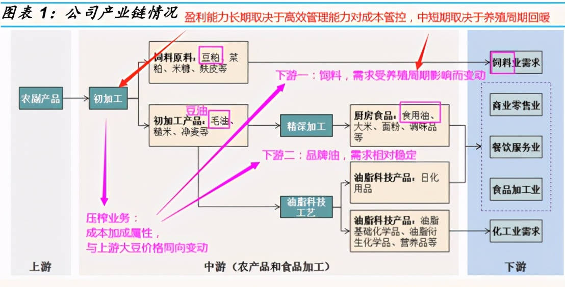 全产业链优势显华，引领未来新篇章