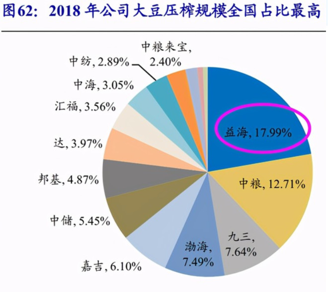 全产业链优势与劣势深度探讨，机遇与挑战并存的分析报告