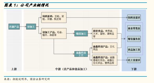 全产业链优势，提升竞争力，实现可持续发展的核心要素解析