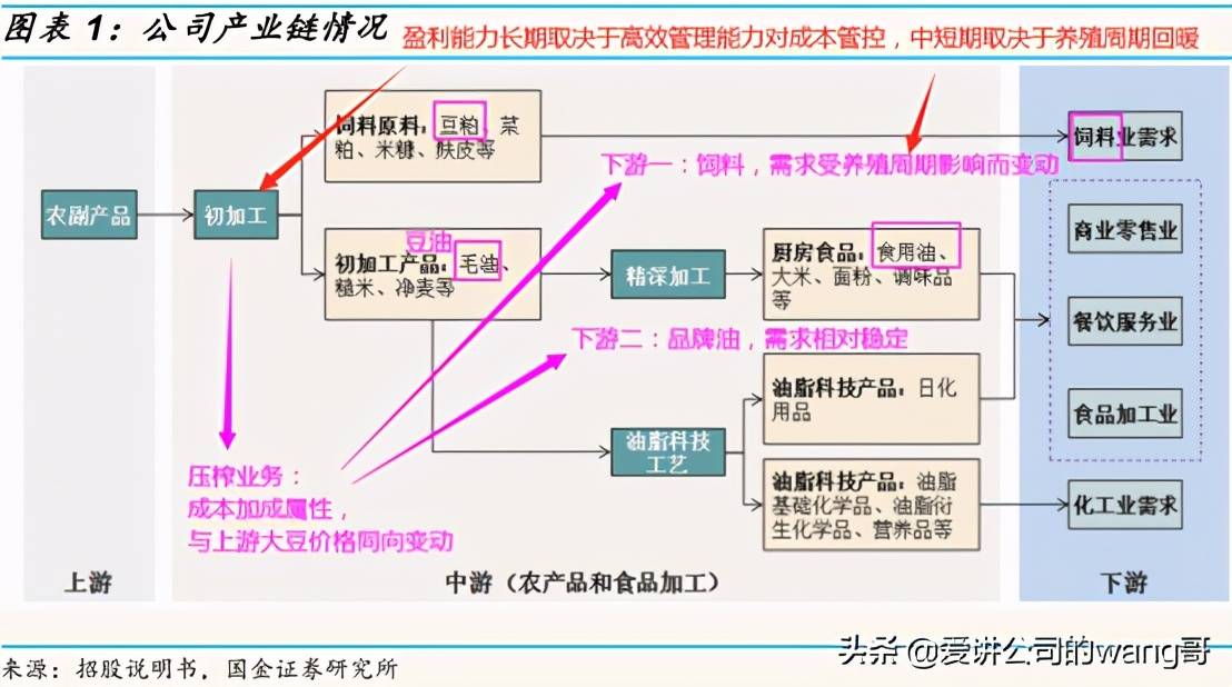 全产业链规模效应深度解析与未来前景展望