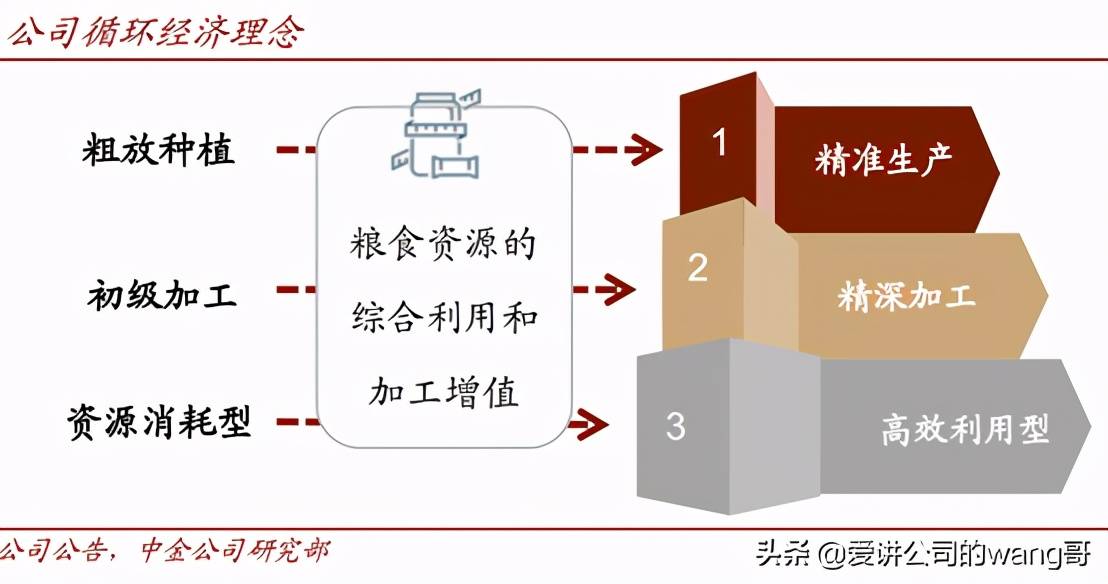 全产业链优势与劣势分析