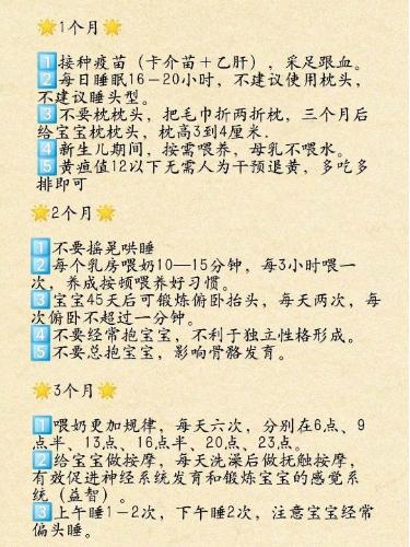 育儿宝典，6到12个月宝宝的成长与养育指南