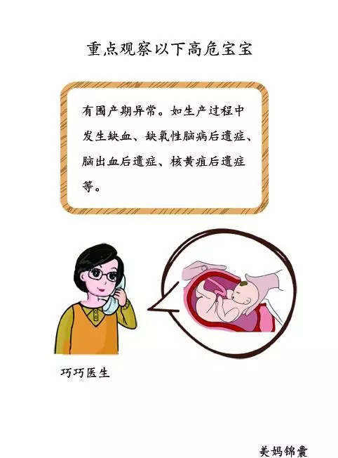 育儿知识分享概览