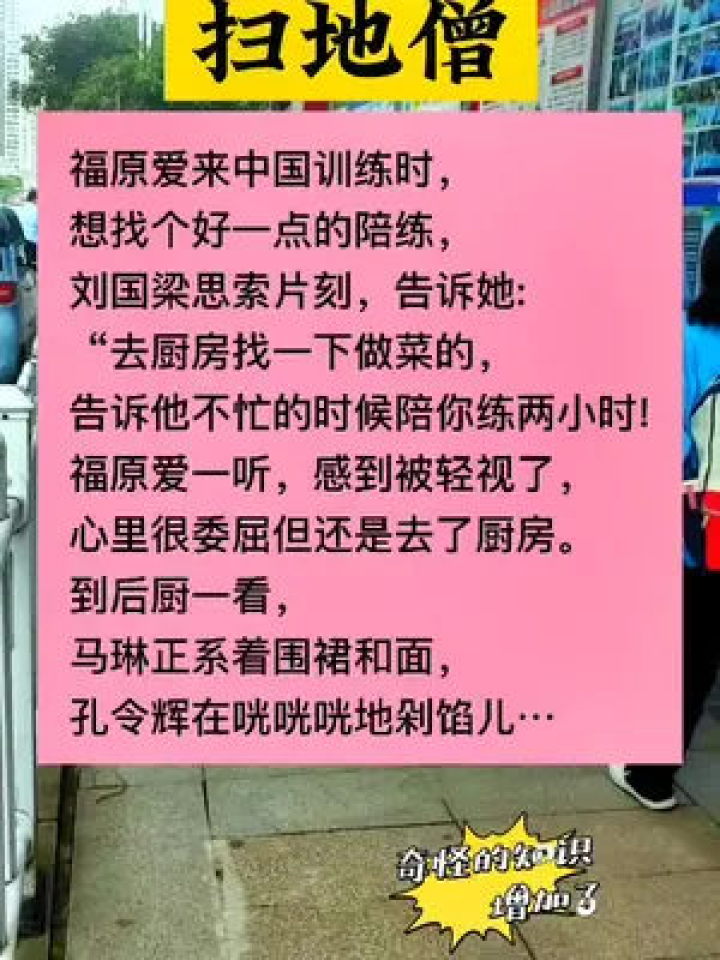 育儿知识背景视频，现代育儿新途径启示分享